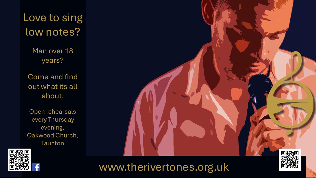 Recruitment Poster - Low Notes Colour